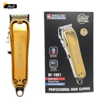 Imported Dingling 1981 Professional Cordless Hair Clipper