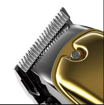 Dingling RF-1981 Cordless Hair Clipper for Men