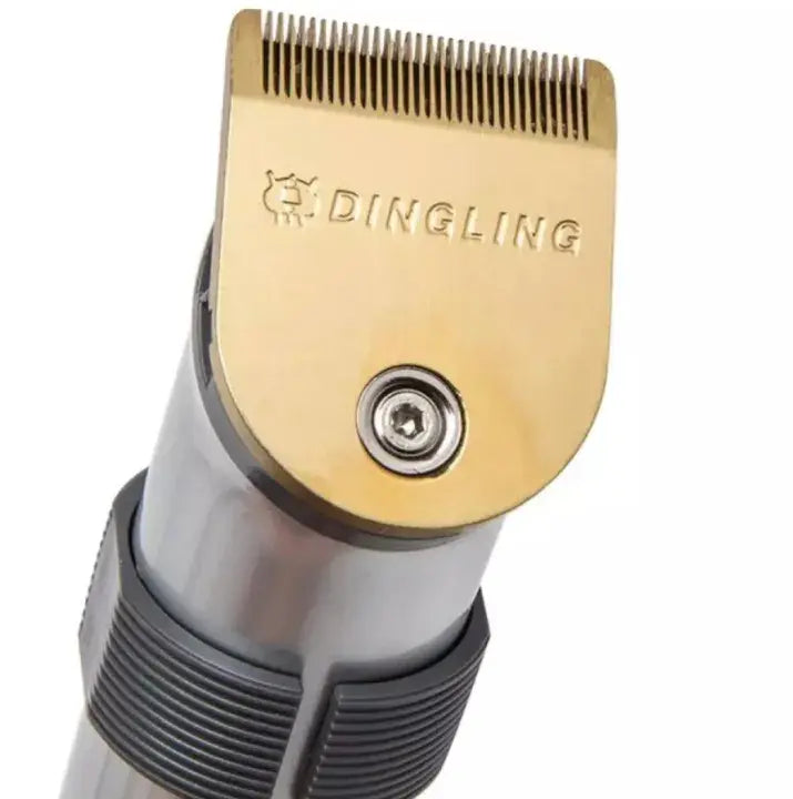 Dingling 608B USB Type C Hair Trimmer & Beard Clipper for Men